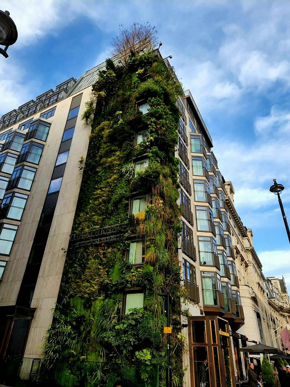 Sustainable building